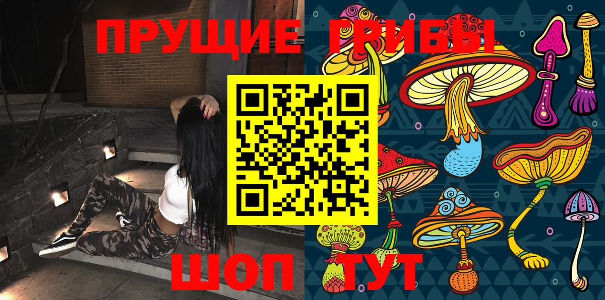Псилоцибиновые грибы прущие грибы  Псилоцибиновые грибы мухоморы  Вход с VPN  Пенза 