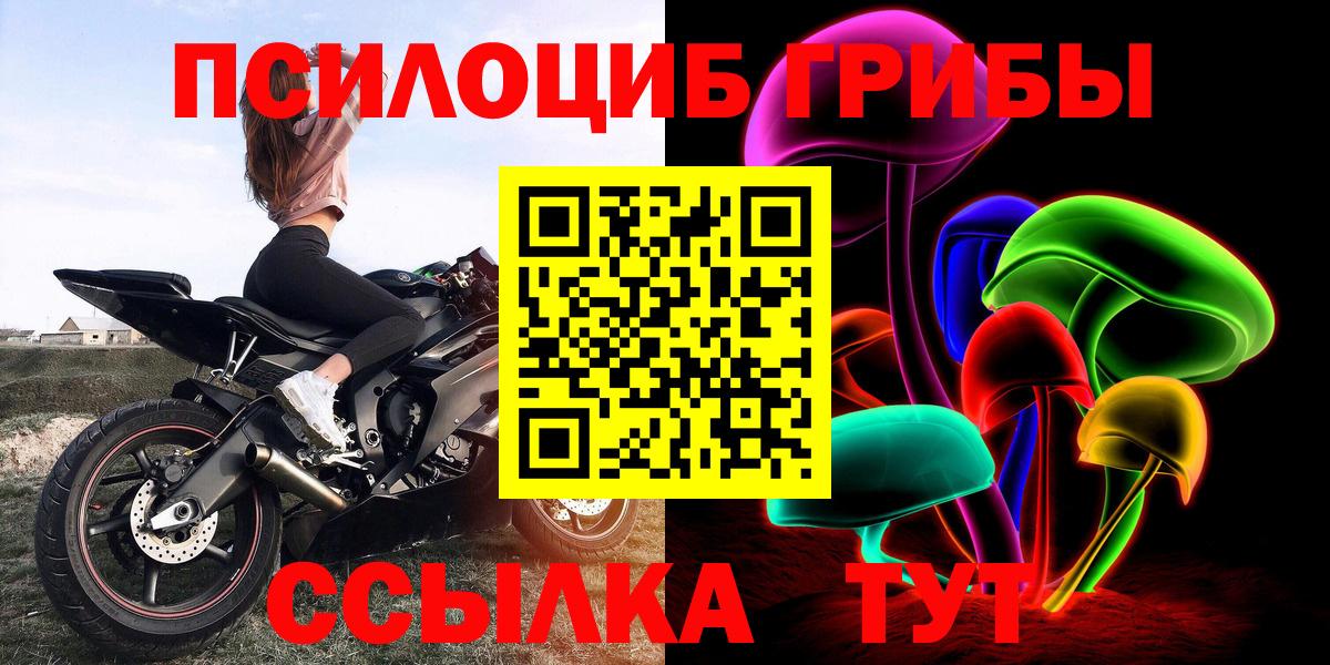 Галлюциногенные грибы прущие грибы Пенза